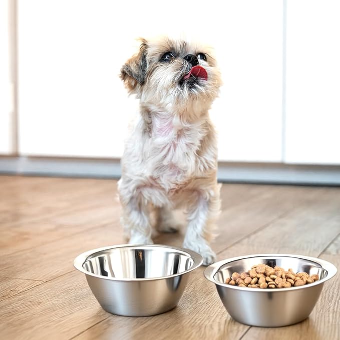 6 Pcs Stainless Steel Dog Bowl 6.5 Inch Metal Dog Bowls Food Water Container Dishwasher Thickened Puppy Food Bowls Safe Metal Plate Pet Bowl for for Small Medium Large Dogs Cats