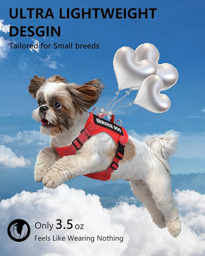 Service Dog Vest for Small Breed Dogs with ID Tag – Lightweight Puppy Harness and Leash Set with 6 PCS Patches, Ideal Service Animal Vest for Training, Complete Service Dog Gear, Red, M
