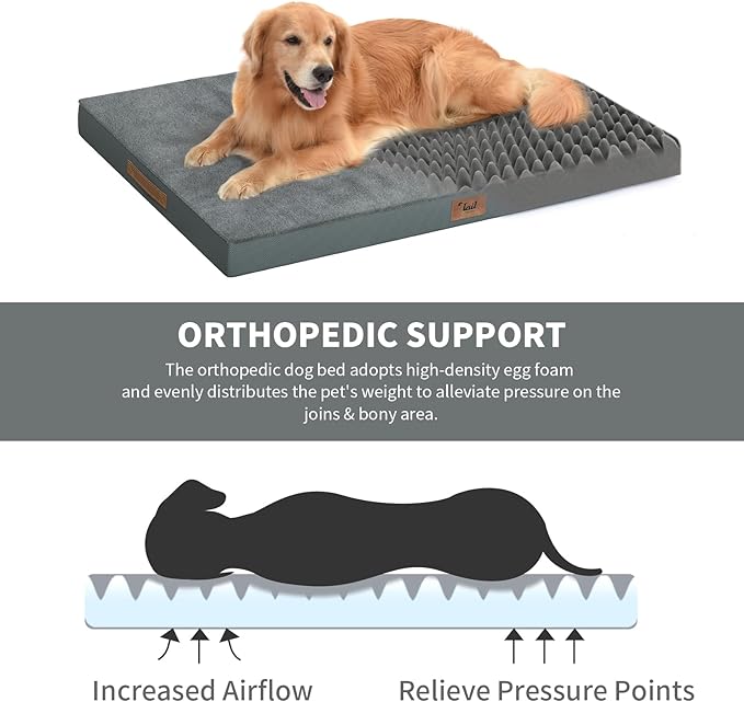 Orthopedic Dog Bed for Extra Large Dogs, XL Comfort Pet Mat for Large Sized Dog 44x32 Inch, Egg Crate Foam with Removable Washable Oxford Cover, Gray