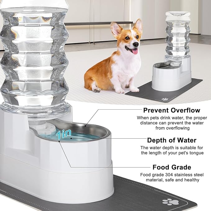RIZZARI 9L Water Dispenser for Dogs: Automatic Stainless Steel Pet Feeder-Removes Odors - Softens Water-Helps Prevent Urinary Stones -Extends Lifespan -Supports Spinal Health in Senior Dogs- Gardens