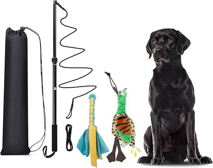 Flirt Pole Dogs, Dog Chase Toy with Squeakers Inside, Dog Fishing Pole Toy for Large Medium Small Dogs to Keep The Puppy Entertained and Physically Exhausted, Rope+Duck