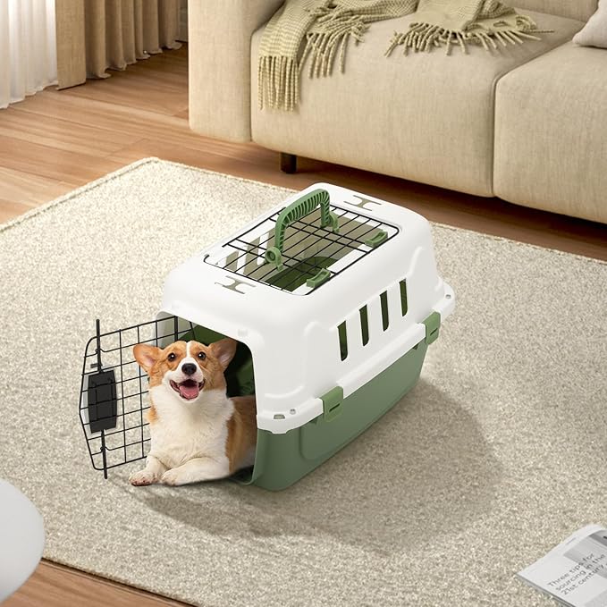 18 Inch Hard-Sided Plastic Dog Carrier 2 Door Travel Crate for Small Dogs Cats up to 10 lbs, Durable Handle, Security Lock Design, Green