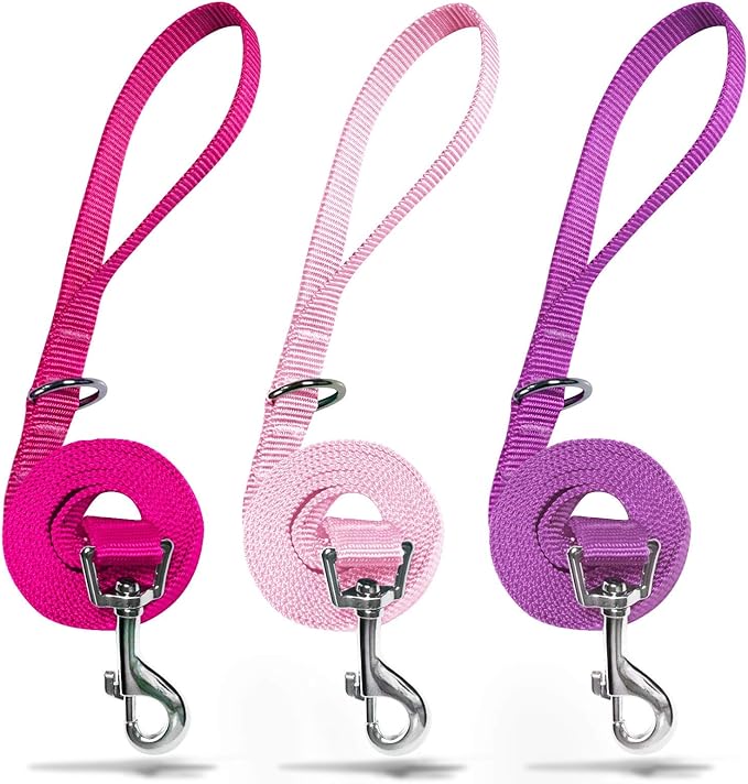 azuza 3 Pack Nylon Dog Leashes,Strong & Durable Basic Style Leash with Easy to Use Collar Hook,Available in Multiple Lengths for Puppy Small Dogs, Hot Pink/Pink/Purple