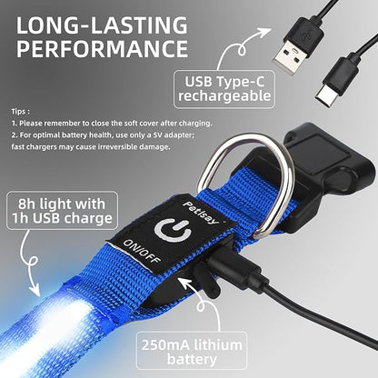Super Bright LED Dog Collar - Fully Waterproof & Adjustable Glow Collar - USB-C Rechargeable for Night Walking, Safety - Flashing Lighted Collar for Dogs(Blue,L/XL)