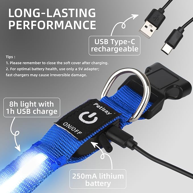 LED Dog Collar for Small Dogs & Toy Breeds – USB-C Rechargeable Light Up Dog Collar, Fully Waterproof Adjustable Glow Collar for Night Walking & Safety(Blue,S)
