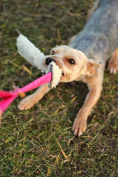 Dingo Tug Toys for Dog, Faux Fur Handle Bungee Agility Motivation Reward Z30021 (Wool)