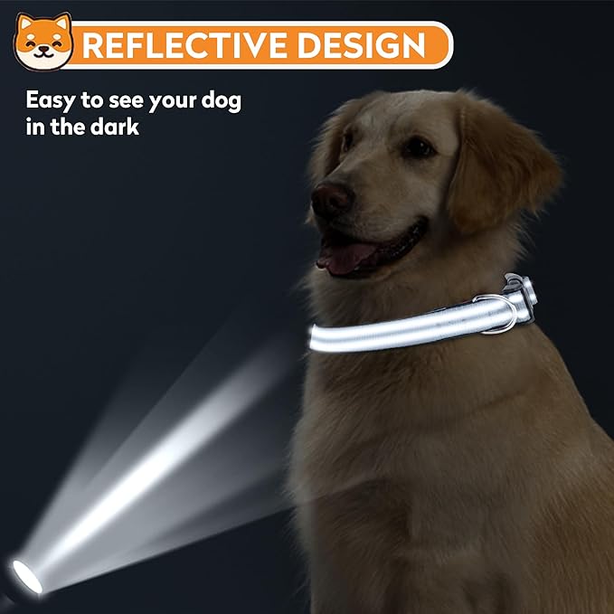 Reflective Dog Collar, Adjustable Soft Neoprene Padded Nylon Pet Collars with Buckle for Medium Dogs, Gray,M