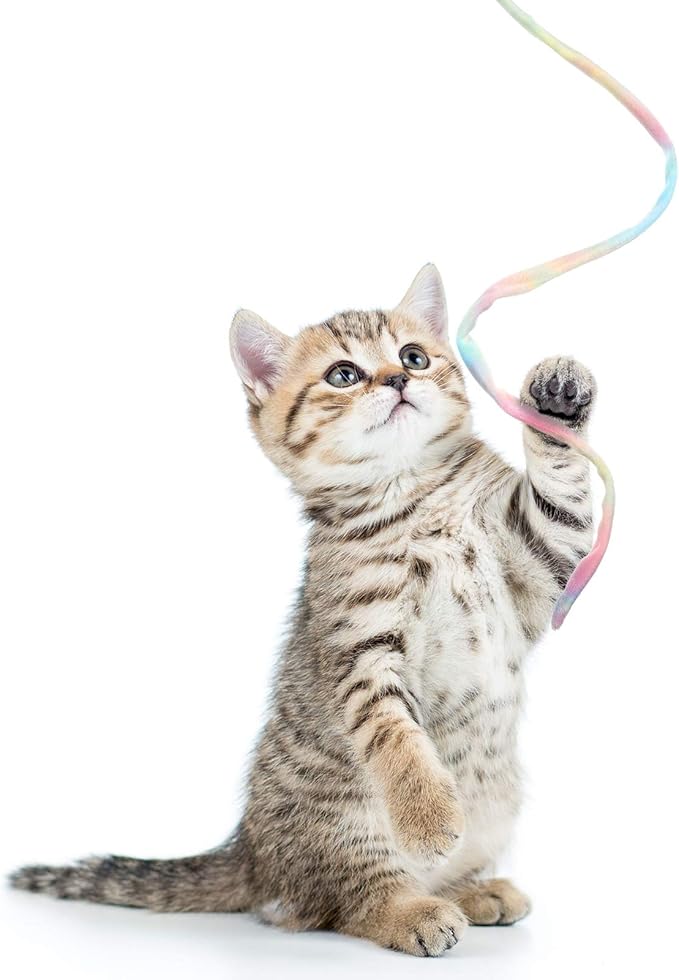 Sumind 3 Pieces Jungle Cat Wand Cat Teaser Charmer Interactive Fun Toys Wand Kitten Kitty Playing Toy, 3 Styles(Charming Color)