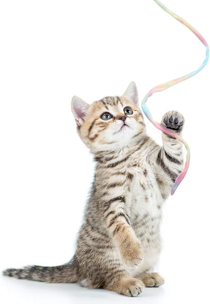 Sumind 3 Pieces Jungle Cat Wand Cat Teaser Charmer Interactive Fun Toys Wand Kitten Kitty Playing Toy, 3 Styles(Charming Color)