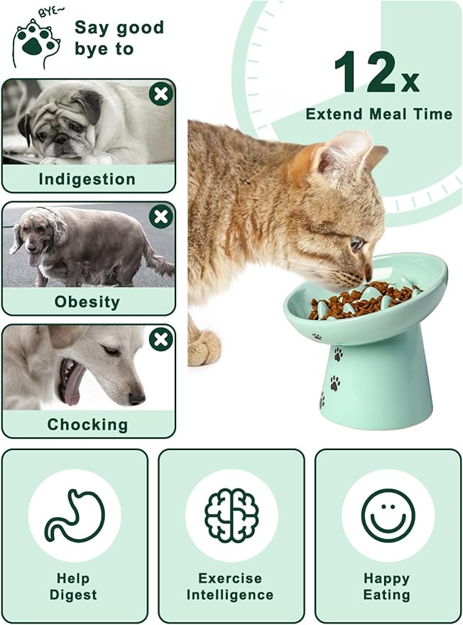 Y YHY Slow Feeder Cat Bowl, Ceramic Cat Slow Feeder Bowl, 6 Inches, Elevated, Anti Vomiting for Dry and Wet Food, Green