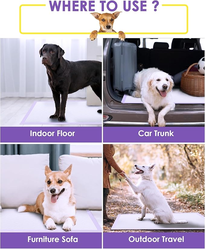 JollyMate Extra Large Dog Pee Pads 36"x36", 30 Counts Leak-Proof Heavy Absorbent Pee Pads for Dogs, Quick Dry Disposable Dog Training Pads