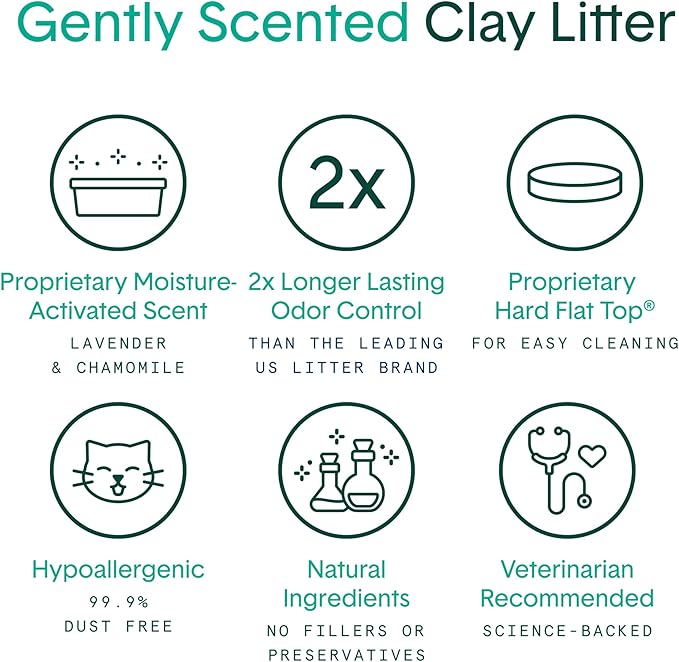 Boxiecat Cat Litter, Clumping, 32lbs, Gently Scented | 30 Day Odor Control | Clay | 2 Pack
