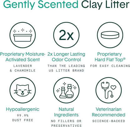 Boxiecat Cat Litter, Clumping, 32lbs, Gently Scented | 30 Day Odor Control | Clay | 2 Pack