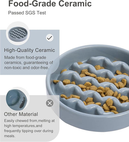 Ceramic Maze Dog Slow Feeder with Non-Slip Silicone Rim – Heavy-Duty Stoneware Bowl with Puzzle Pattern for Bloating & Obesity Prevention (Ice Blue-M)