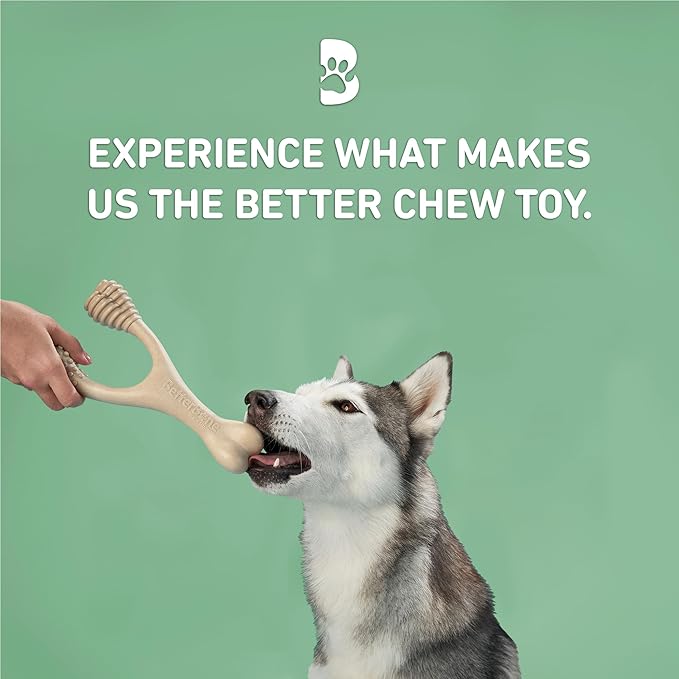 BetterBone - Medium Density - Ideal for Moderate to Strong Chewers - All-Natural, Nylon-Free Dog Chew Toys - Non-Toxic, Promotes Dental Health, Splinter-Resistant, Sustainably Made