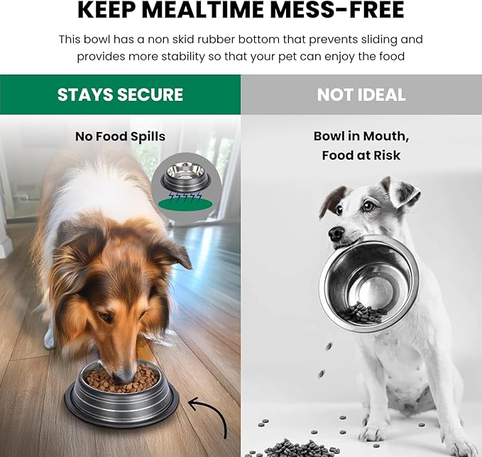 Iconic Pet Color Splash Stripe Non-Skid Stainless Steel Dog & Cat Bowl - Black, 32 Oz, 4 Cup, Durable, Easy to Clean, Anti-Slip Feeding Dish for Food & Water, Stylish Design for Dogs and Cats