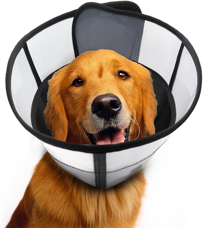 Soft Dog Cone Collar for Dogs After Surgery, Transparent Breathable Pet Recovery Collar for Large Medium Dogs, Adjustable Dog Cone Collar, Elizabethan Collar (M, Black)