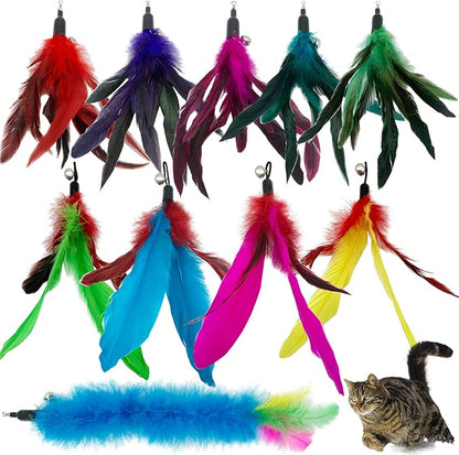 Cat Feather Toys Refills, 10 Pieces Cat Wand Replacement Feathers Toy for Indoor Cats