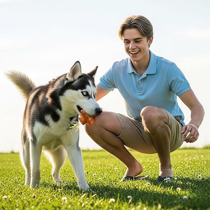 Dog Chew Toy-Tough&Durable Dog Toys for Aggressive Chewers,Christmas Tree Style&Beef Smell Squeaky Chew Toy -for Small Medium and Large Dogs.