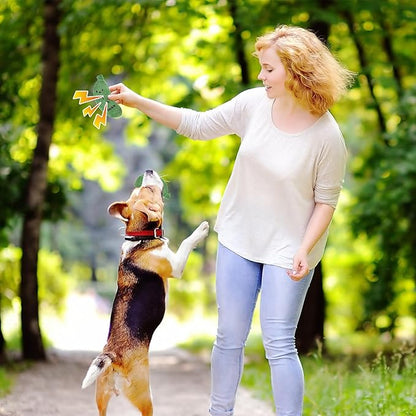 Pickle Squeaky Dog Toy, Funny Durable Dog Squeaky Toys for Aggressive Chewers Cute Plush Stuffed Pickle Toy Chewy Dog Toys for Small/Medium/Large Weed Dog Exercise and Accompany