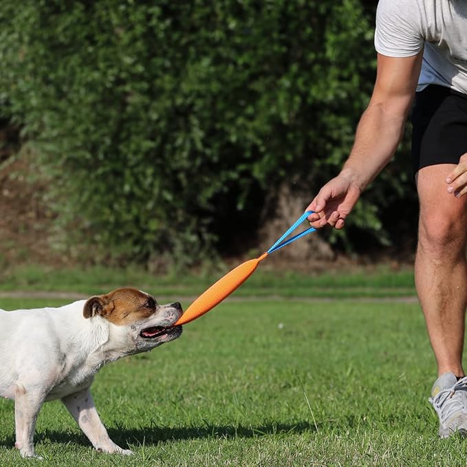 K9 Dog Bite Tug Toy with Strong Handle - Made of Durable & Tear-Resistant Fire Hose - Perfect for Tug of War, Fetch & Puppy Training - Ideal Pull Toy for Medium to Large Dogs, 12 Inches