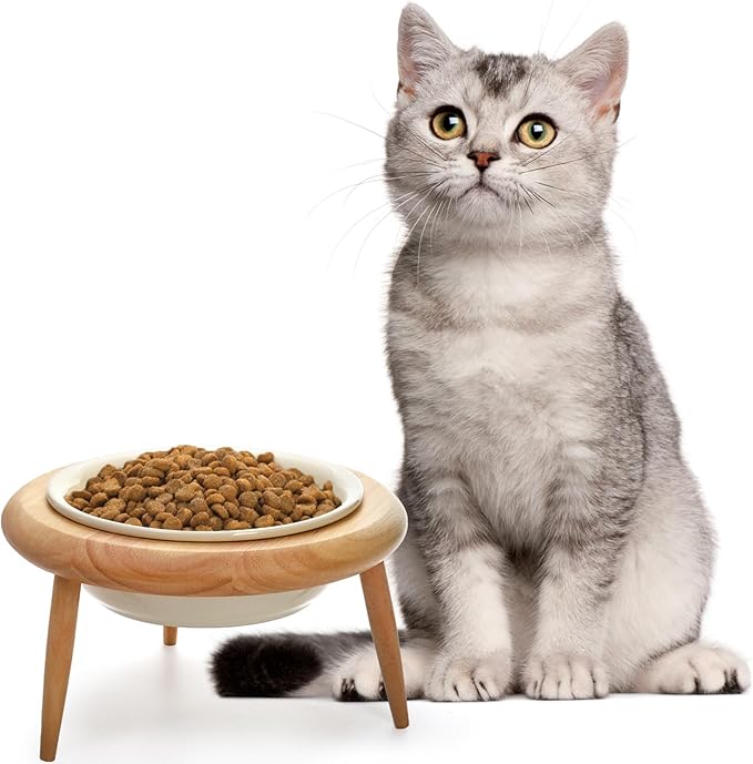 DEAYOU Ceramic Cat Bowl Adjustable, Tilted Elevated Raised Pet Dish, No Spill Pet Food Water Feeder, Slanted Dog Bowl with Wood Stand for Kitty, Pet Supplies, Stress Free, 600 ML/20 OZ, Cream White