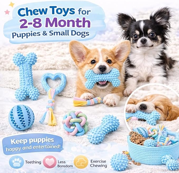 Chew Toys for Small Dogs – 6 Pack Teething Set, Soft Rubber, Eco-Friendly, Teeth Cleaning, Interactive Blue Dog Toys