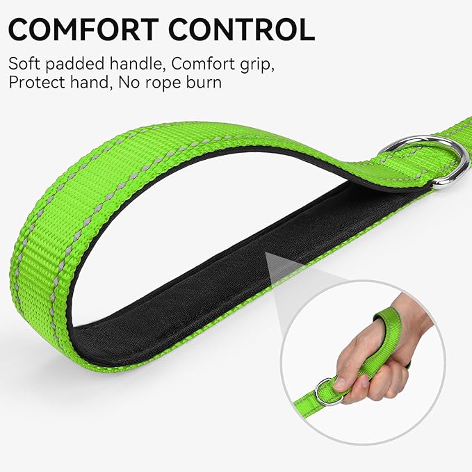 Joytale Dog Leash, 5 FT Double-Sided Reflective, Padded Handle Nylon Heavy Duty Leashes for Small Dogs Walking, Green