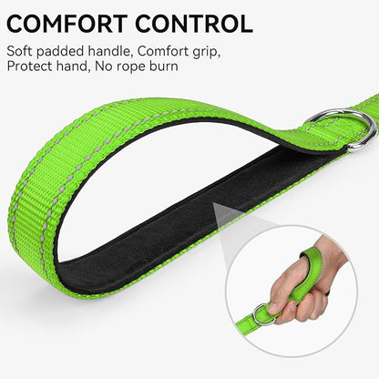 Joytale Dog Leash, 4 FT Double-Sided Reflective, Padded Handle Nylon Heavy Duty Leashes for Small Dogs Walking, Green
