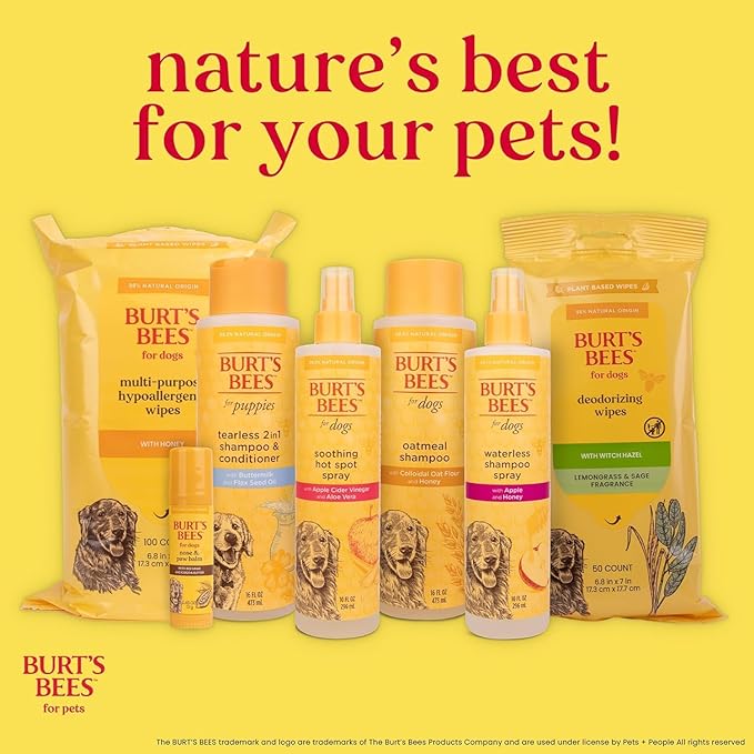 BURT'S BEES FOR PETS Deodorizing Spray for Dogs with Apple and Rosemary, 99.7% Natural Origin Formulas, Waterless Canine Cleanser - Gentle Dry Shampoo for Pups, 2pk, 10 oz