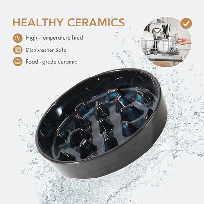 Ceramic 3.2 Cup Dog Bowl Slow Feeder, 9.5 inch Slow Pet Food Dish for Large Dog, Stop Bloat, Preventing Choking(Single Bowl, Starry Sky)