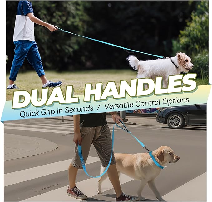 VIVAGLORY Dog Leash Twingrip Double Handle Dog Leash with Traffic Handle Control & 2 Loop for Walking & Training, Reflective Heavy Duty for Puppy Pet Collar, 5ft x 1in, Lake Blue