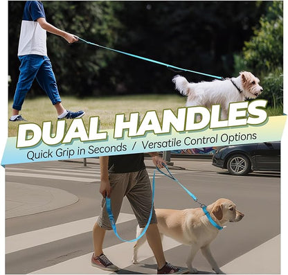 VIVAGLORY Dog Leash Twingrip Double Handle Dog Leash with Traffic Handle Control & 2 Loop for Walking & Training, Reflective Heavy Duty for Puppy Pet Collar, 5ft x 1in, Lake Blue