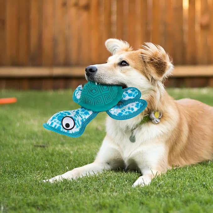 Squeaky Turtle Dog Toy, Treat Dispensing Rubber Ball, Bite Resistant Plush Chew Toy, Interactive Tug & Fetch Enrichment Toy for Medium & Small Breeds, Safe & Engaging for Puppies (Green)