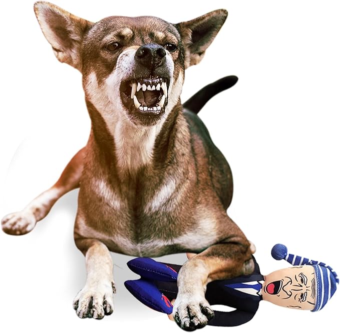 Republican Dogs Sleepy Joe Biden and Kamala Harris Chew Toy Bundle