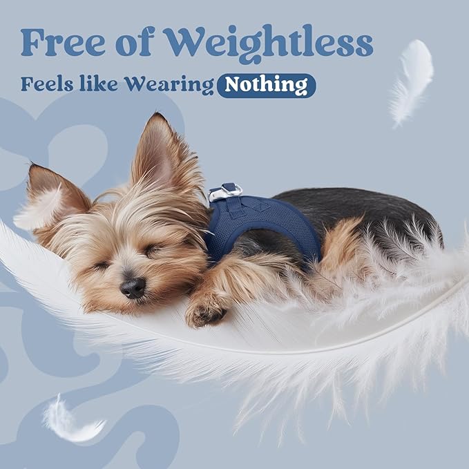 rabbitgoo Small Dog Harness, Step-in Soft Mesh Puppy Vest with Safety Buckle, Breathable Reflective Pet Harness for Extra Small Dogs, Navy Blue XXXS