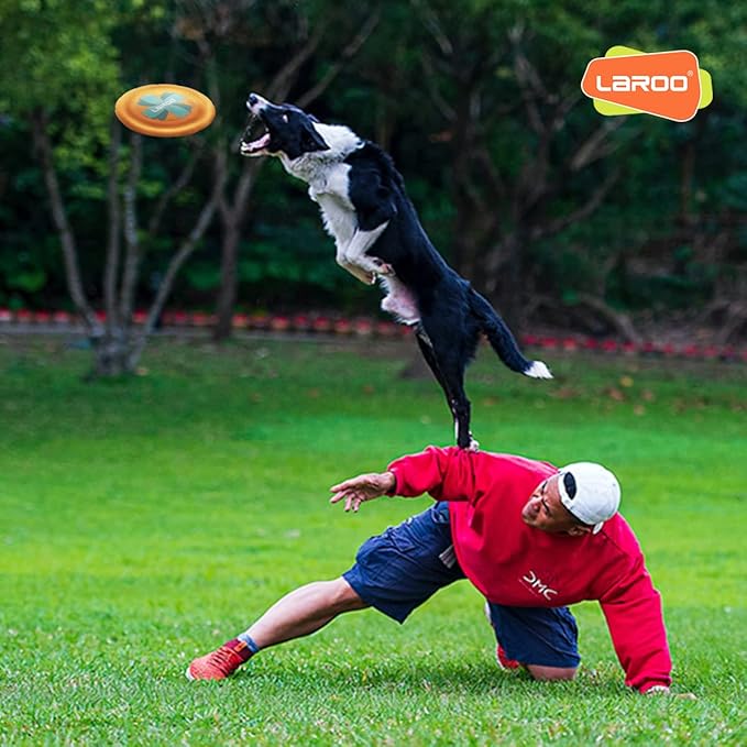 LaRoo Dog Flying Disc, Flying Plate 9.6in Bite Resistant Floating Interactive Tossing Toys, Chew Toy for Training Summer Party Outdoor Playing Puppy Medium Large Dogs Birthday