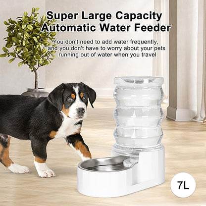 RIZZARI Automatic Gravity Pet Dispenser: Helps Prevent Urinary Stones - an Activated Carbon Ion Exchange System - Removes Odors - Softens Water -6.5L Large Capacity Stainless Steel - Living Room