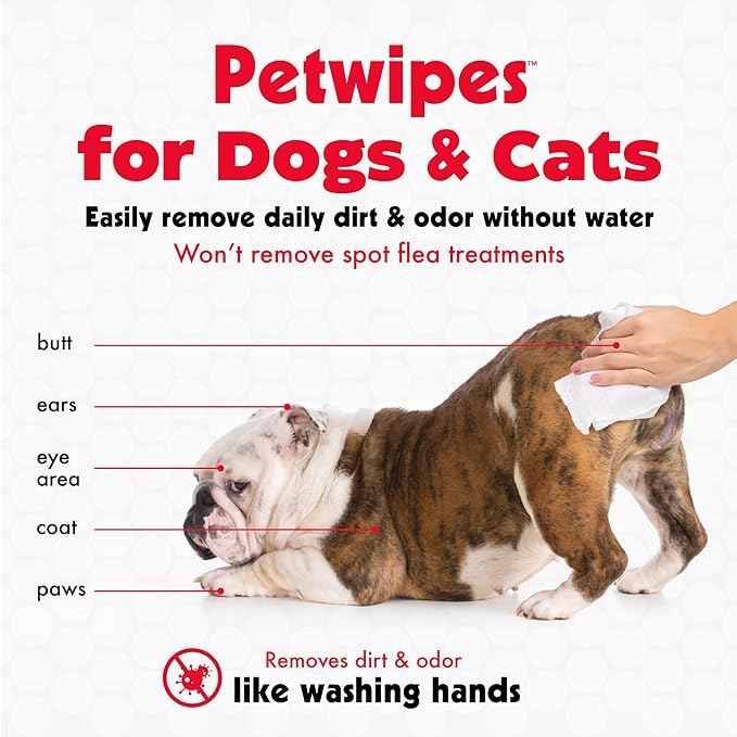Petkin Pet Wipes for Dogs and Cats - 400 Large Wipes - Removes Dirt & Odor - Cleans Ears, Face, Butt, Eye Area - Convenient for Home or Travel - 4 Packs.