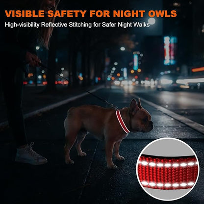 Taglory Reflective Dog Collar with Safety Locking Buckle, Soft Neoprene Padded Dog Collar for Medium Dogs, Metal D-Ring, Adjustable Nylon Neck Strap for Daily Walking, Training & Running, Red, M