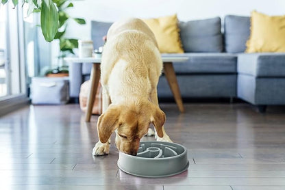 Cutie's PetBox Slow Feeder Dog Food Bowl, Plastic Swirl Design with Anti-Slip Base (Blue)