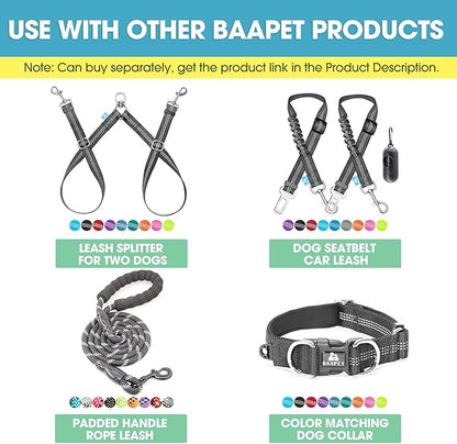 BAAPET 5 Feet Nylon Dog Leash with Triple Reflective Threads and Comfortable Padded Handle for Walking, Training Lead Small Puppy, Medium and Large Dogs (1.0'' x 5 FT, Black)