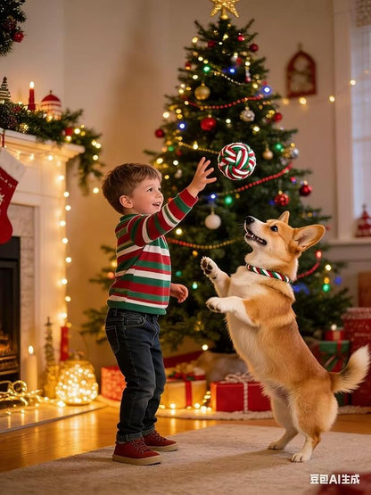 Pet Rope Toys (Small Christmas Colors 6pcs)