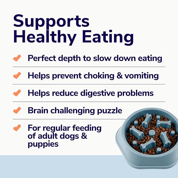 Miracle Vet Slow Feeder Dog Bowls for Fast Eaters - for Small, Medium Sized Dogs - Dog Puzzle Maze Helps Slow Down Eating - Adult, Puppy Food Bowl for Bloat Stop - Non-Slip Feeder Bowl (Blue)