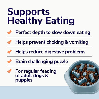 Miracle Vet Slow Feeder Dog Bowls for Fast Eaters - for Small, Medium Sized Dogs - Dog Puzzle Maze Helps Slow Down Eating - Adult, Puppy Food Bowl for Bloat Stop - Non-Slip Feeder Bowl (Blue)