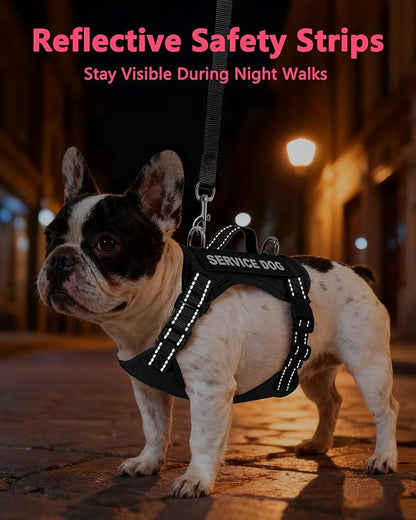 Service Dog Vest for Small Breed Dogs with ID Tag – Lightweight Puppy Harness and Leash Set with 6 PCS Patches, Ideal Service Animal Vest for Training, Complete Service Dog Gear, Black, S