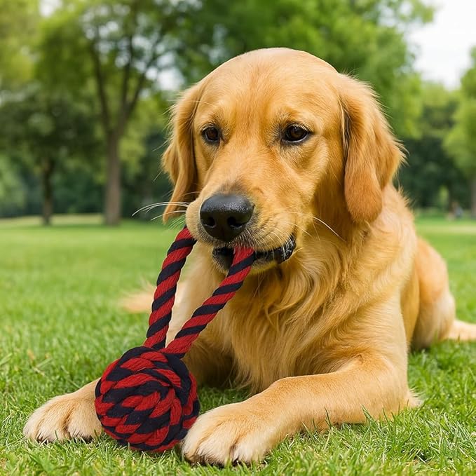 Dog Rope Toys Heavy Chew Toys for Medium and Large Breed Dogs, Durable Rope Toy Set for Teething, Chewing Support and Interactive Play (4 pcs Dog Toys Combo)