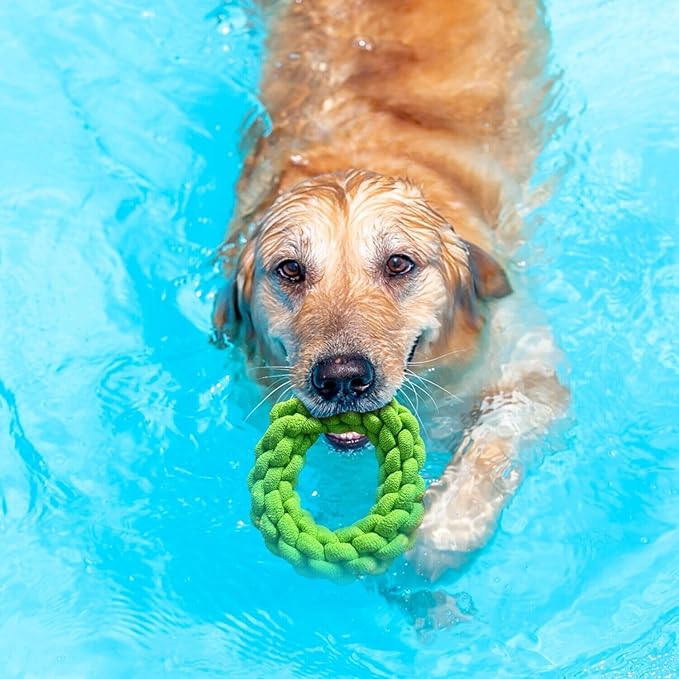 Reflective Padded Floating Leash and Dog Rope Chew Toy Assortment Bundle for Small Medium and Large Dogs, Natural Interactive Fetch Toys for Water Play (Floating Large Ring Bundle w/Leash)