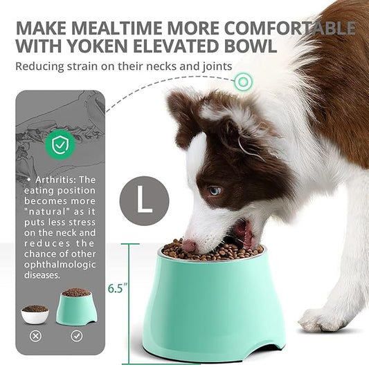 Fluffydream Elevated Dog Bowls, Prevention of Vertebrae Disease, Non-Slip With Stainless Steel Bowl, High Capacity Food Bowls (MintGreen 2 Packs, L 860ML / 3 Cups)