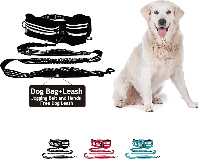 Kruz Hands Free Dog Leash (Waist 26”- 48”, Leash- 1”x 5ft) Premium Waist Belt for Walking, Running, & Hiking, Bungee with Dual Handles, Adjustable Fit, Reflective Safety Design for Large Dogs (Black)
